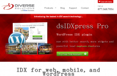 Diverse Solutions