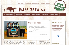 Bison Brewing