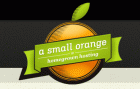 A Small Orange