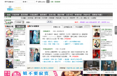 ����С˵��