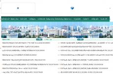 ֣�ݵ����ߵ�ר��ѧУ