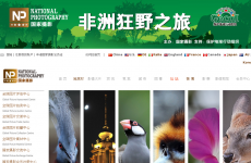 ������Ӱ