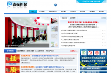 ����ɭǿ����Ͷ�ʵ������޹�˾