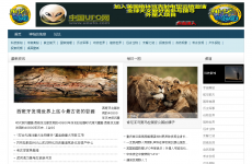 ���صĵ���